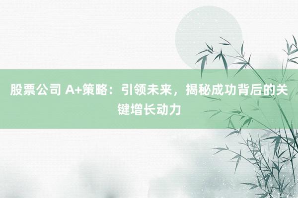 股票公司 A+策略：引领未来，揭秘成功背后的关键增长动力