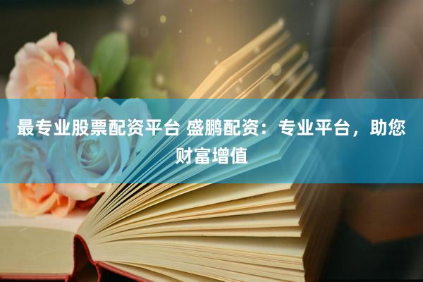 最专业股票配资平台 盛鹏配资：专业平台，助您财富增值