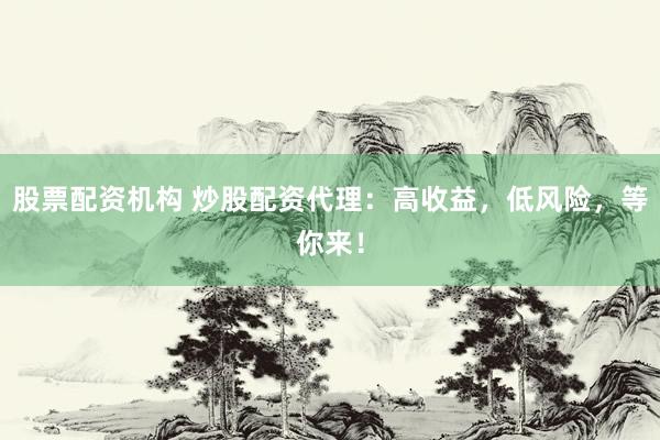 股票配资机构 炒股配资代理：高收益，低风险，等你来！