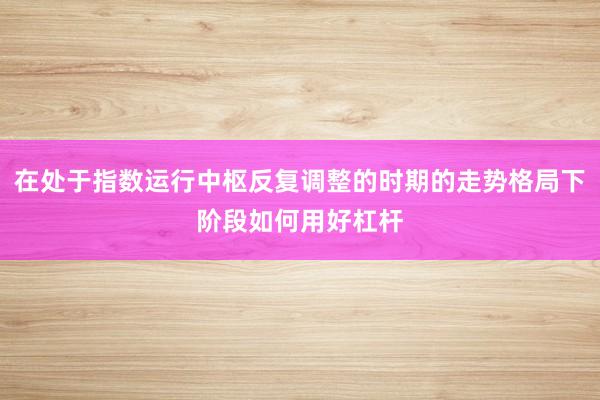 在处于指数运行中枢反复调整的时期的走势格局下阶段如何用好杠杆