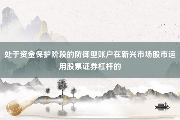 处于资金保护阶段的防御型账户在新兴市场股市运用股票证券杠杆的