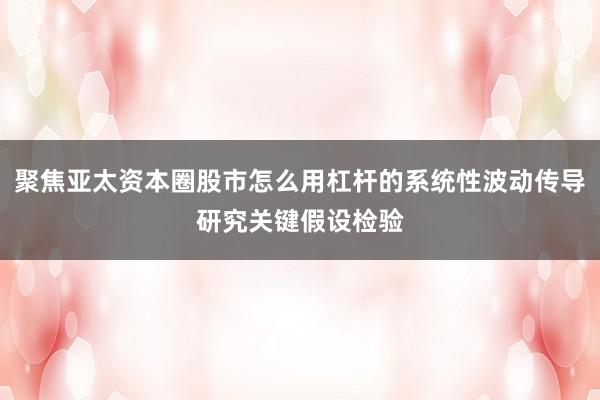 聚焦亚太资本圈股市怎么用杠杆的系统性波动传导研究关键假设检验