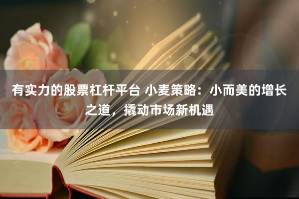 有实力的股票杠杆平台 小麦策略：小而美的增长之道，撬动市场新机遇